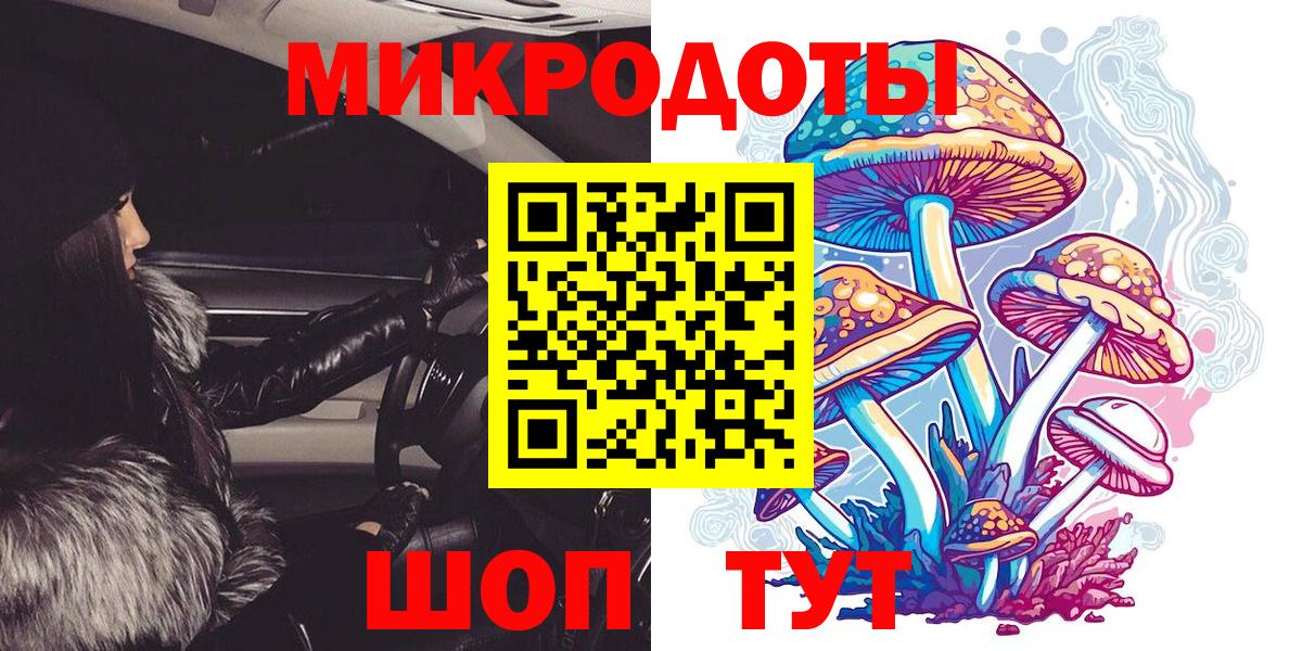 Пугачёв  Галлюциногенные грибы Psilocybe  Вход с VPN 